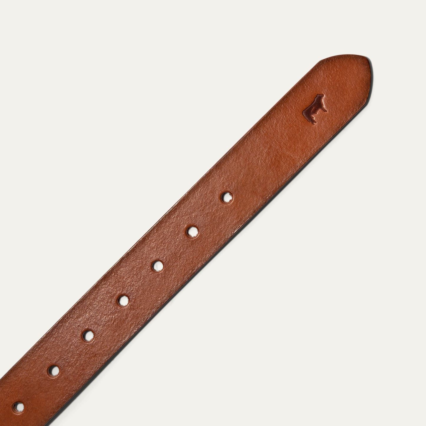 Saddle Belt