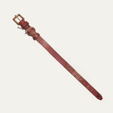 Dog Collar L/Xl - Will Leather Goods