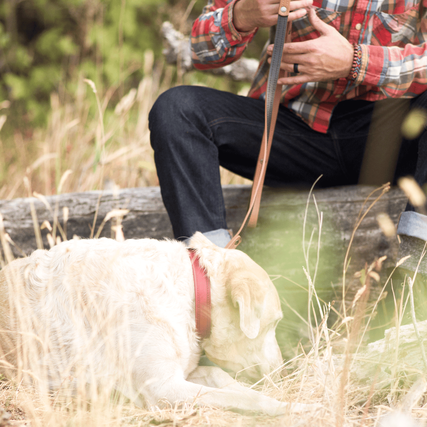 Dog Leash - Will Leather Goods
